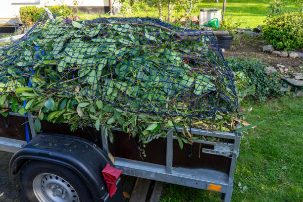 Best Residential Junk Removal  in Tremont, IL